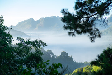 The valley in the dense forest in the morning with beautiful white mist In northern Thailand. Morning mountain landscape image The front of the branch came out  and a long line of mountains