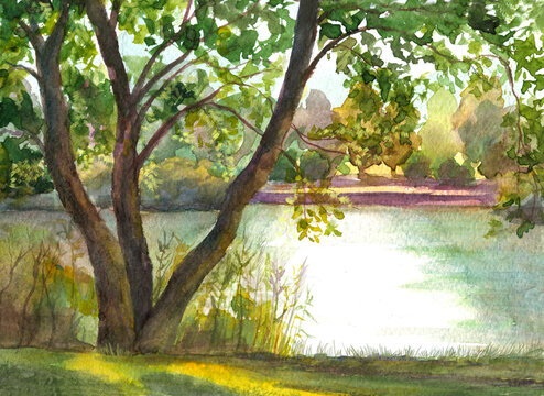 watercolor illustration with park trees and lake peaceful natural background