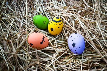 Easter eggs on a brown grass
