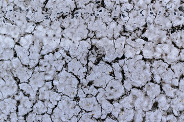 Old white paint for backdrop. Large black cracks.  Scuffing, weathering. Close-up.