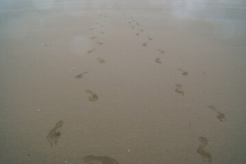 SONY DSC