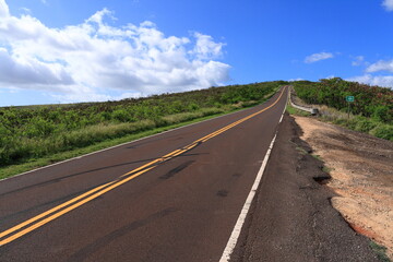 Fototapeta na wymiar Blue sky and Long road in Hawaii