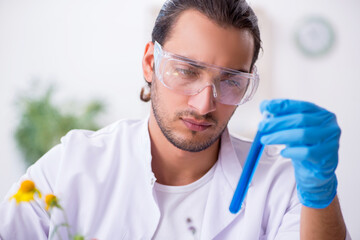 Young male chemist working in the lab