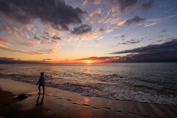 Fototapeta premium Silhouette and sunset scene in Hawaii