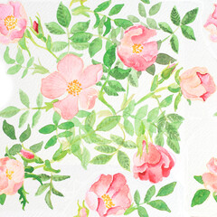 wild rose watercolour seamless pattern