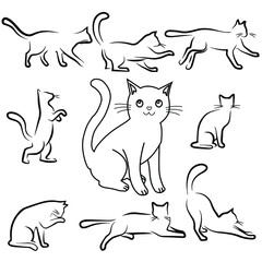 lots of cats outline, Isolated On White Background in different poses