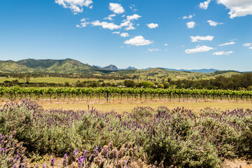 rural area mountains sky cloud plant forest