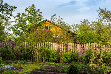 Rural houses. Typical landscape of Russian dacha.