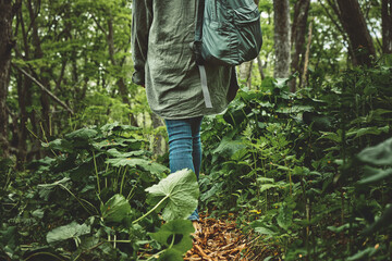 back view of a girl walking along a path through a gloomy mystical foggy forest. Nature and outdoor concept.
