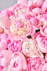 Obraz na płótnie Canvas Floral carpet or Wallpaper. Beautiful Pink peony flower for catalog or online store. Floral shop concept . Beautiful fresh cut bouquet. Flowers delivery