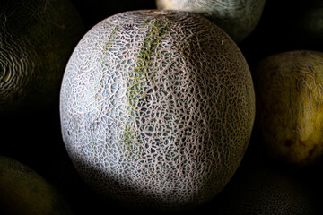 detail melon skin on a dark background