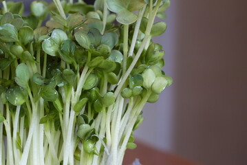 Close up of some bean sprout

