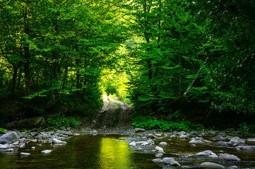 Fototapeta na wymiar Forest road fording across the mountain river in mysterious green summer forest