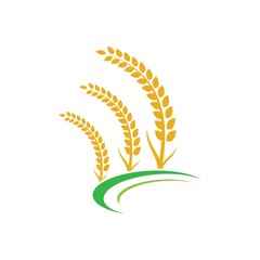 Wheat logo vector icon