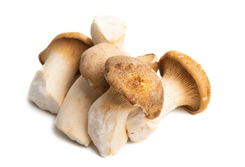 eringi mushrooms isolated