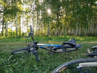 Fototapeta na wymiar Mountain bikes lie on the green grass near the forest.
