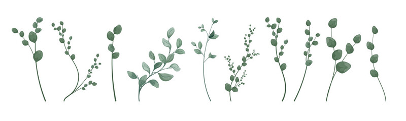 Art watercolor natural branches leaves elements. Vector illustration 