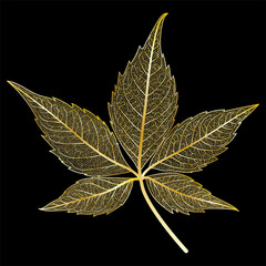 Golden leaf vein isolated on black.Vector illustration