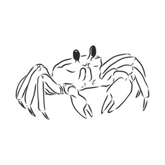 Sea blue striped illustration with crab, crab, vector sketch illustration
