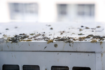 Closeup bird droppings be stained on air compressor machine of building. Dirty exterior from bird...
