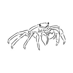 Sea blue striped illustration with crab, crab, vector sketch illustration