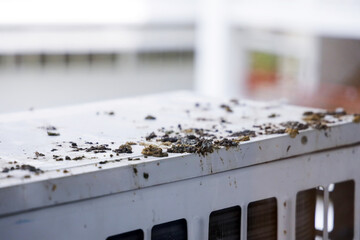 Closeup bird droppings be stained on air compressor machine of building. Dirty exterior from bird...
