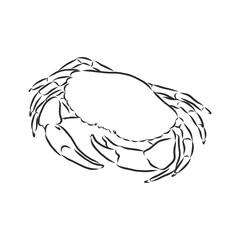 Sea blue striped illustration with crab, crab, vector sketch illustration