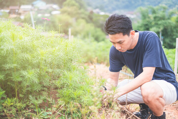 Portrait of Young asian man working in garden