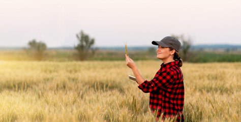 A woman farmer examines the field of cereals and sends data to the cloud from the tablet. Smart farming and digital agriculture.