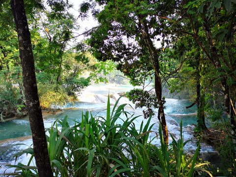 Stunning Vista Of Agua Azul Cascades, Mexico