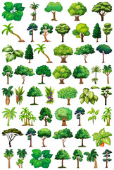 Set of variety plants and trees