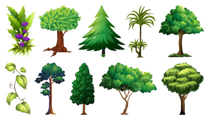 Fototapeta premium Set of variety plants and trees