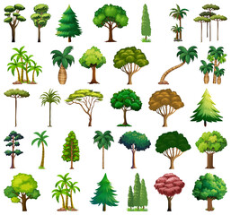 Set of variety plants and trees