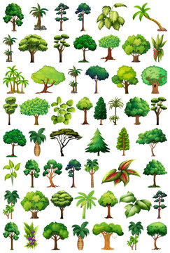 Set of variety plants and trees