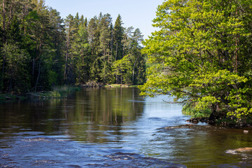 Swedish river and natural salmon area in spring. Farnebofjarden national park in north of Sweden.