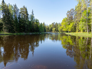 Fototapeta na wymiar Swedish river and natural salmon area in spring. Farnebofjarden national park in north of Sweden.
