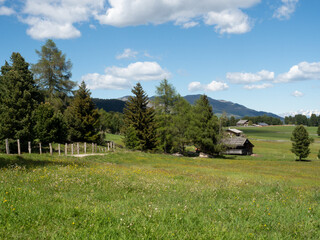 alpe di villandro in alto adige, italy, trekking in mountain