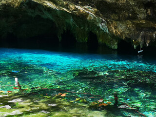 Vivid clear waters at Dos Ojos Cenote