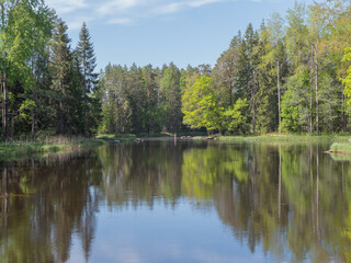 Swedish river and natural salmon area in spring. Farnebofjarden national park in north of Sweden.