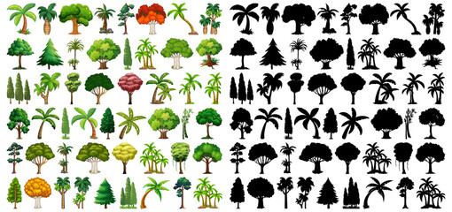 Obraz premium Set of plant and tree with its silhouette