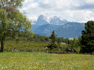 alpe di villandro in alto adige, italy, trekking in mountain