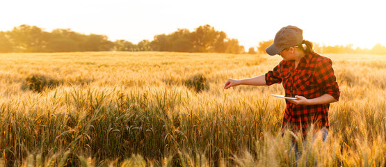 A woman farmer examines the field of cereals and sends data to the cloud from the tablet. Smart...