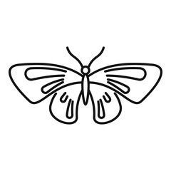 Beautiful butterfly icon. Outline beautiful butterfly vector icon for web design isolated on white background