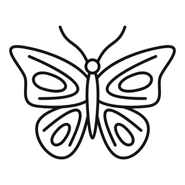 Paradise butterfly icon. Outline paradise butterfly vector icon for web design isolated on white background