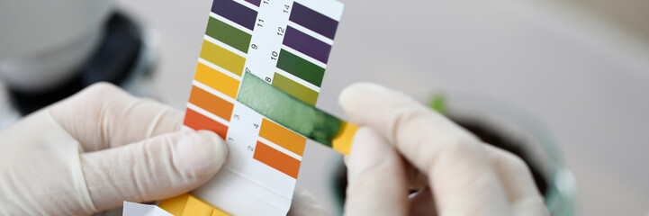 Litmus paper shows acidity, chemical analysis. Indicator for determining reaction medium. Strips...