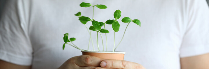 Closeup man holds glass with sprouted small herbs. Healthy lifestyle. New way cooking. Enrich menu...