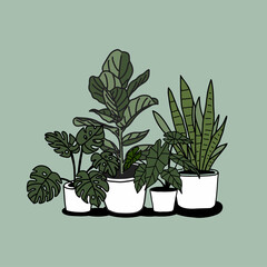 Hand drawn house plants in pots. 