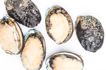 Raw abalones on the white background