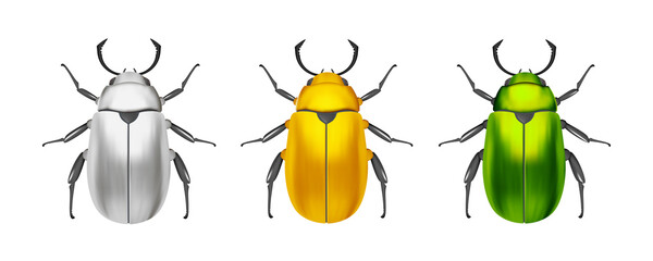 Bug. Beatle. Insects of different colors on a white background. Gold, silver, green.