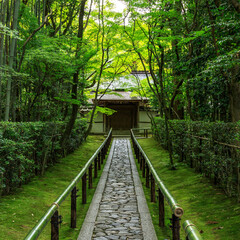 新緑の京都